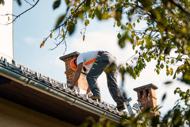 Quick and Trustworthy Emergency Roof Repair Services in Fox Farm College, WY
